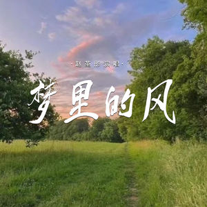 梦里的风