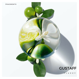 Fluzzy (Peter Lavalle Remix)
