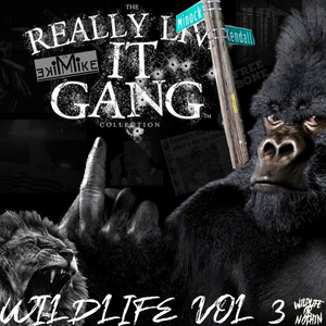 Really Live It Gang Collection Wildlife, Vol. 3 (Explicit)