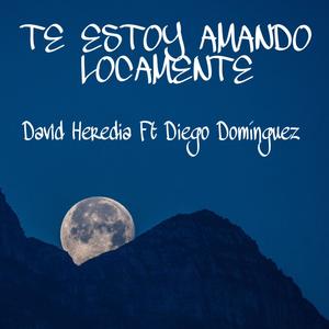 Te estoy amando locamente (feat. Diego Dominguez)