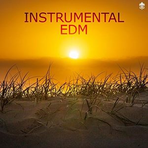 Instrumental EDM