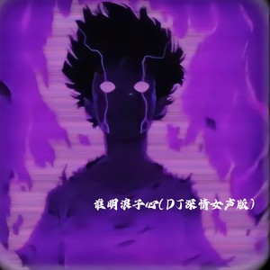 谁明浪子心 (DJ深情女版)