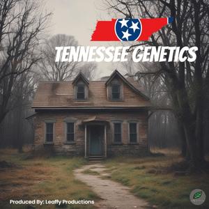 Cashville, TN