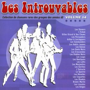 Collection de chanson rares des groupes des années 60 Volume 14