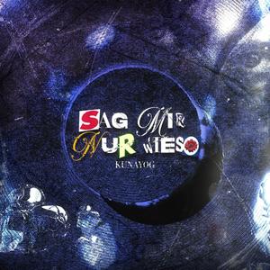 SAG MIR NUR WIESO (Explicit)