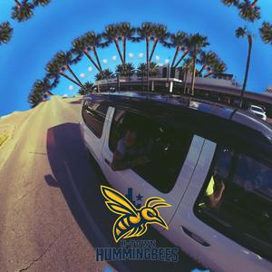 HTOWN HUMMINGBEES (Explicit)