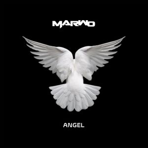 Angel (Radio Edit)