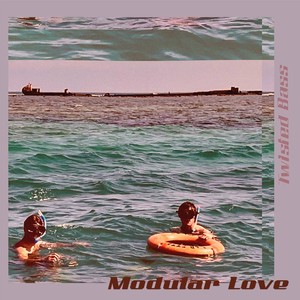 Modular Love (The Little Alex Remix)