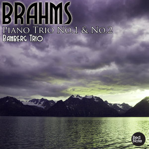 Piano Trio No.1 in B Major, Op.8: I. Allegro con moto, Allegro con brio