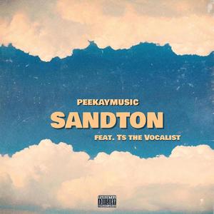 Sandton(feat. Ts the vocalist)