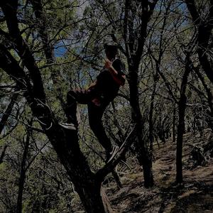 Darwins Game (Explicit)