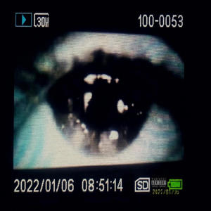 RUN (feat. iheartnoon) (Explicit)