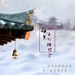 我是人间惆怅客