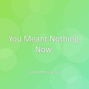 You Meant Nothing Now