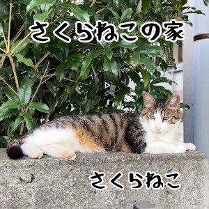 さくらねこの家