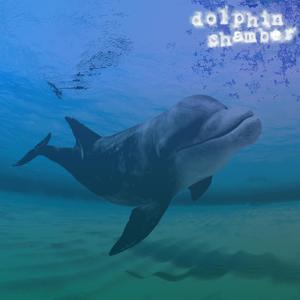 Dolphin Chamber