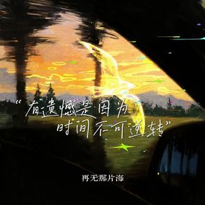 有遗憾是因为时间不可逆转-再无那片海