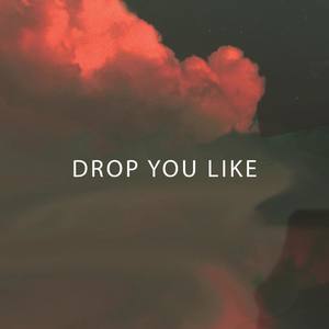 Drop You Like (Explicit)