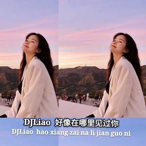 我好像在哪里见过你 (DJLiaoMix女声版)