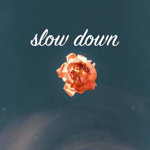 Slow Down