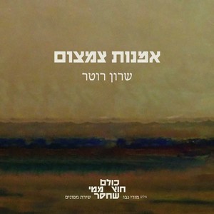 אמנות הצימצום