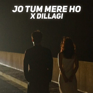 Jo Tum Mere Ho X Dillagi (Slowed|Reverb)