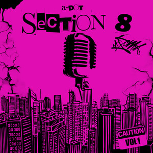 Section 8