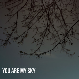 You Are My Sky