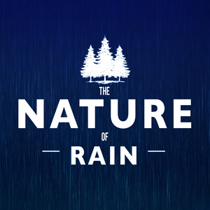 Friday Rain