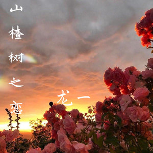 山楂树之恋