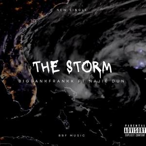 The Storm (feat. Najie Dun) (Radio Edit|Explicit)