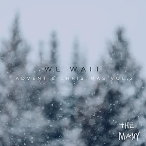 We Wait (Advent & Christmas, Vol. 2)