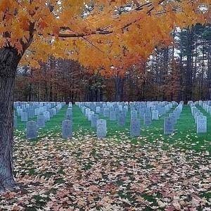 live long Pt. 2 (feat. Yvng Ryzen & iihatesnow) (Live|Explicit)