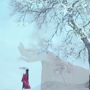 雪落下的声音 
