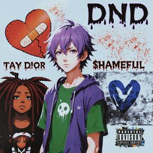 DND (feat. Tay D!or) (Explicit)