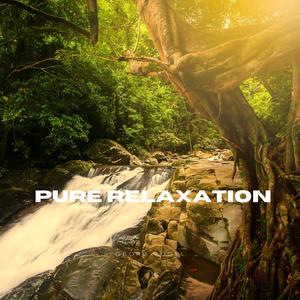 Pure Relaxation