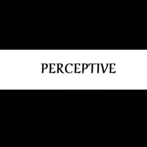 Perceptive (feat. StayDownZai) [Explicit]