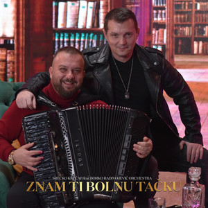 Znam Ti Bolnu Tačku (COVER版)