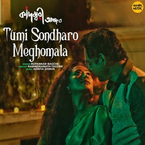 Tumi Sondharo Meghomala (From "Kadambari Aajo")