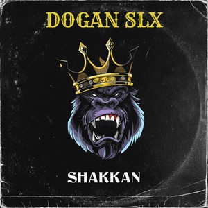 Doğan Slx