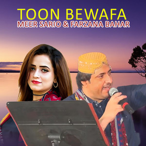 Toon Bewafa