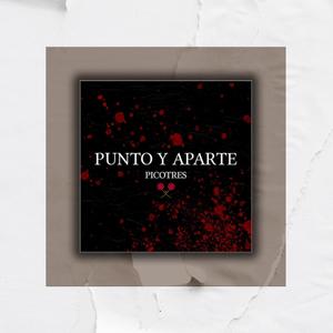 Punto Y Aparte