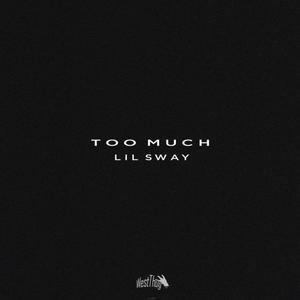 Too Much (Explicit)