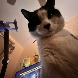 Shut up my mom is also calling