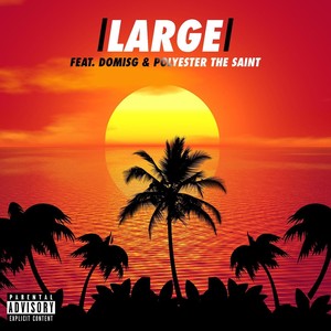 Large (feat. DomIsG & Polyester the Saint) [Explicit]