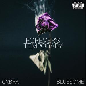 Forever's Temporary (Explicit)