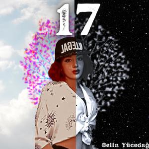 17 (Explicit)