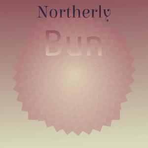 Northerly Bun