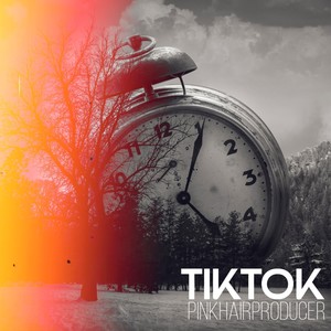TikTok (Explicit)