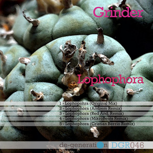 Lophophora